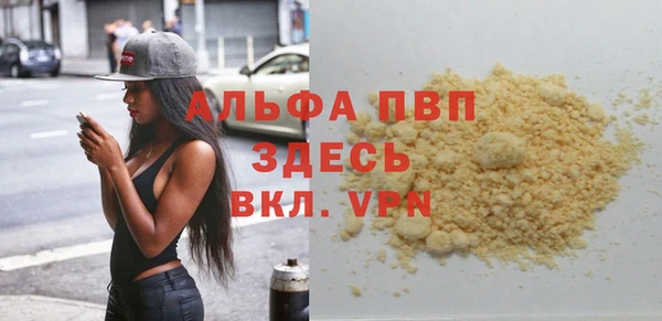 молекула духа Пестово