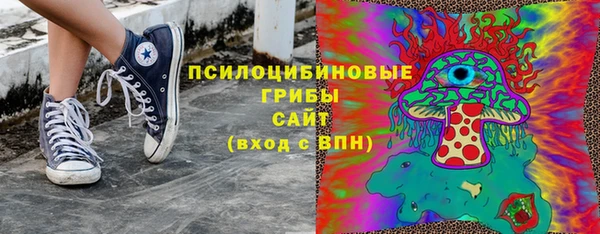 молекула духа Пестово