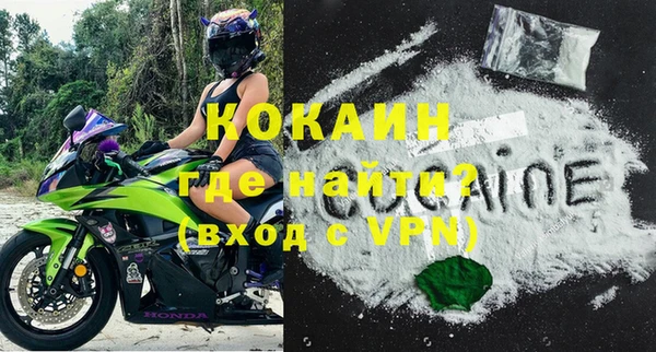 молекула духа Пестово