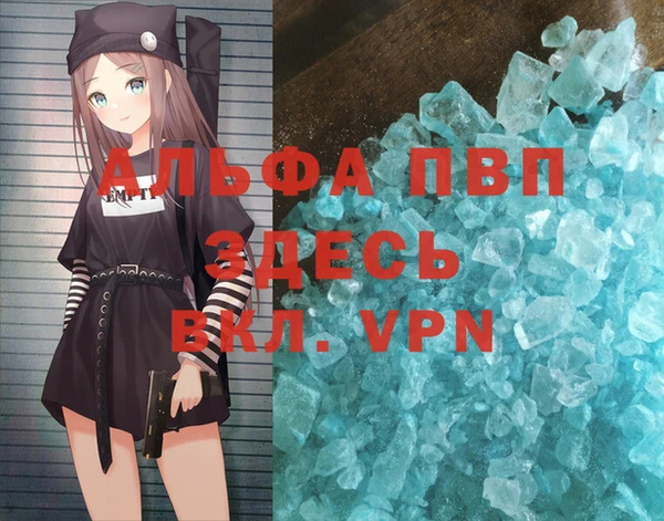 молекула духа Пестово
