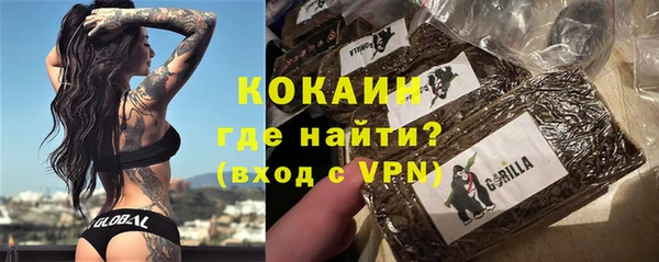 молекула духа Пестово