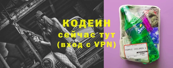 молекула духа Пестово